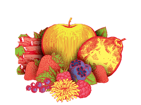 LES VERGERS DE SAINT PIERRE